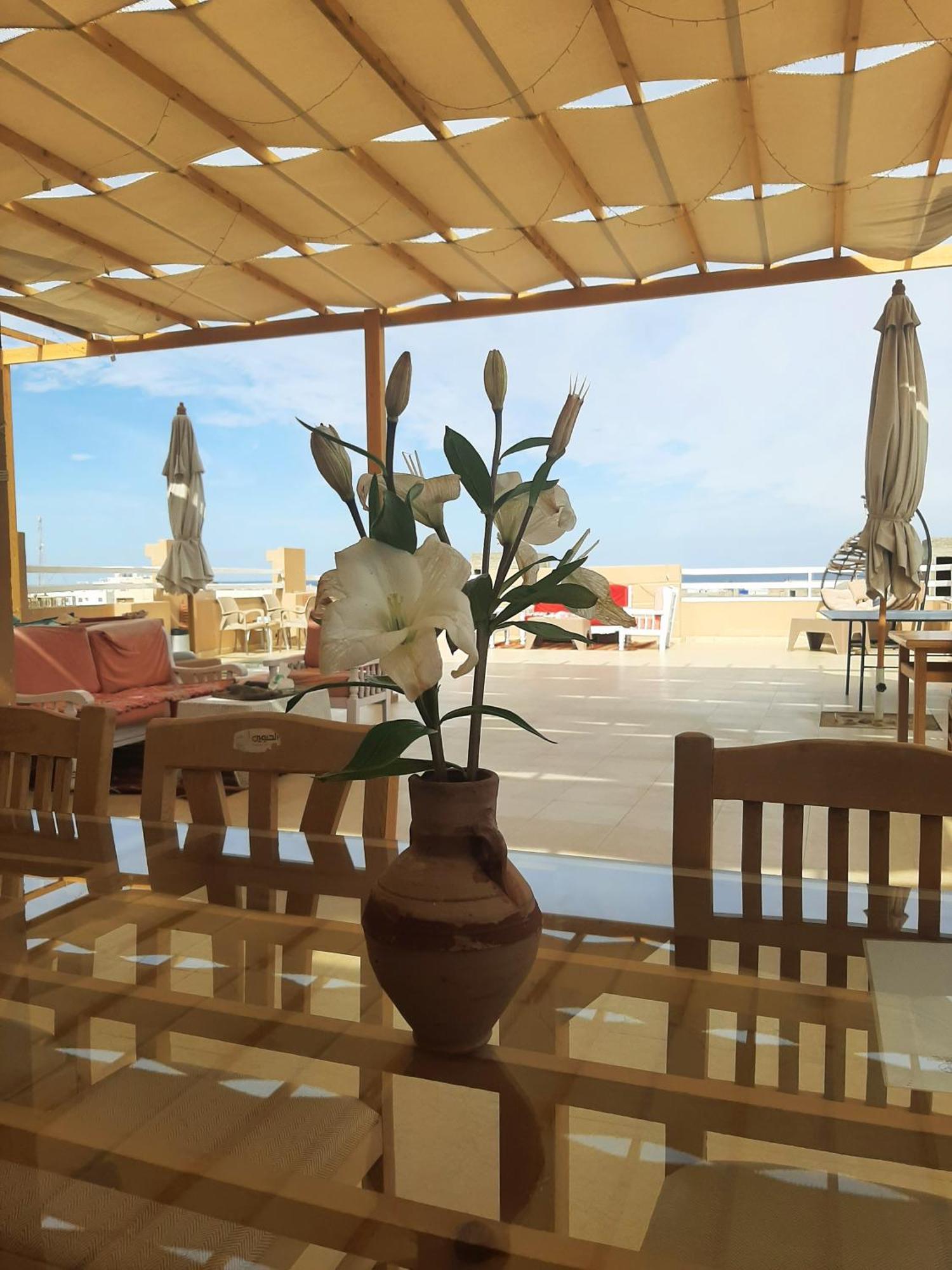 Alam B&B Marsa Alam Екстериор снимка